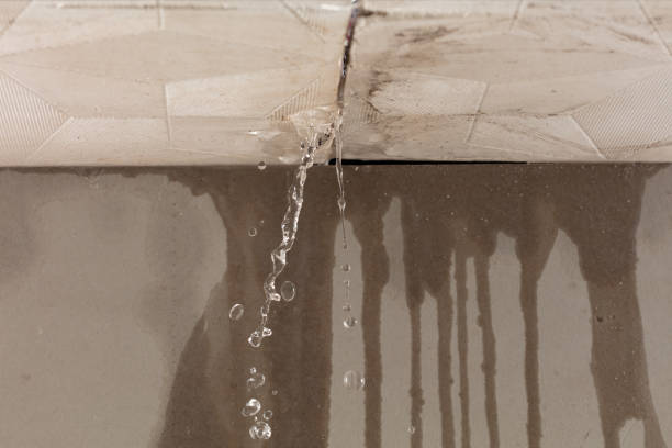 Professional Water Damage Repair technician working in Petros, TN